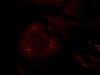 picture17.jpg