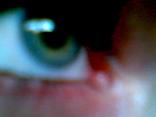 picture217.jpg